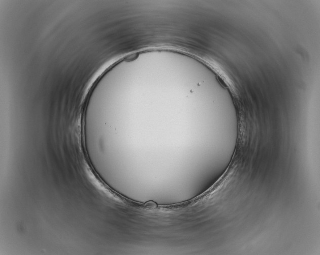 X0000111851100200908061309