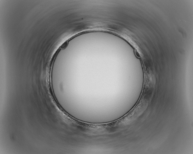 X0000111851101200908061309