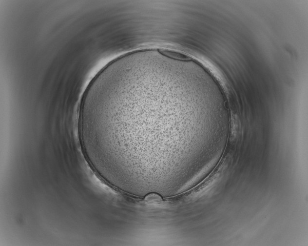 X0000111851102200908061309