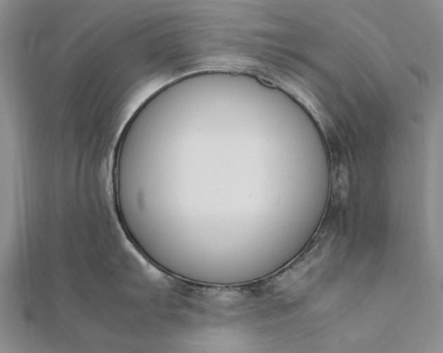 X0000111851103200908061309