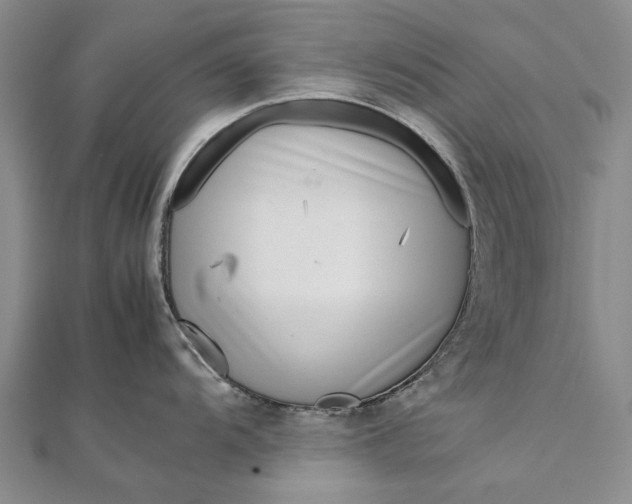 X0000111851104200908061309