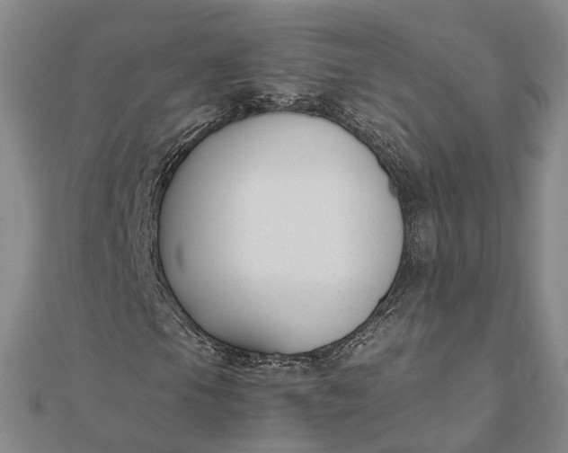 X0000111851105200908061308