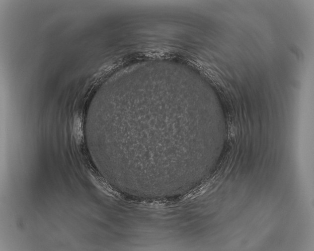 X0000111851106200908061308