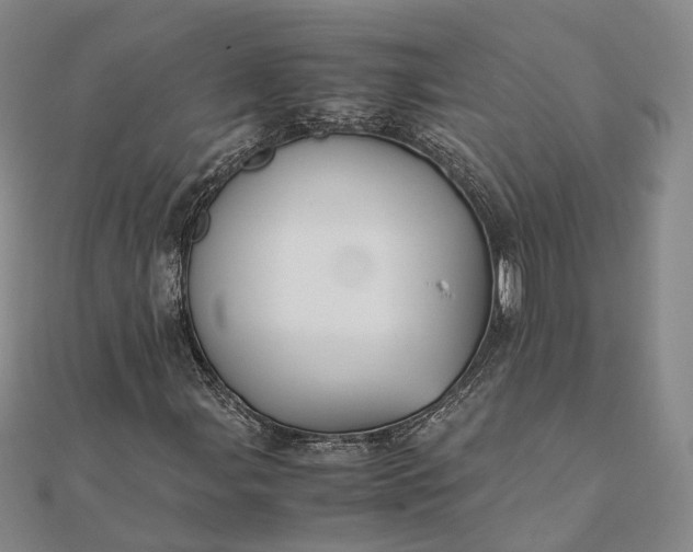 X0000111851107200908061308