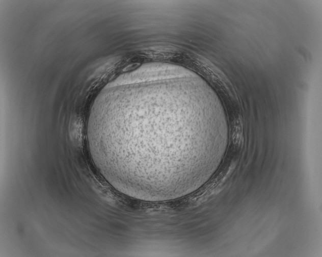 X0000111851108200908061308