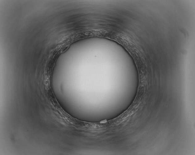 X0000111851109200908061308