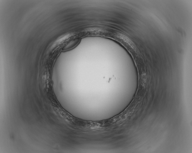 X0000111851111200908061308