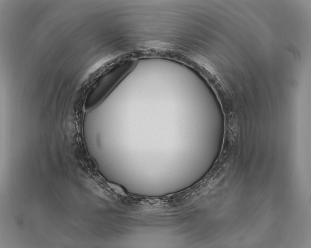 X0000111851112200908061308