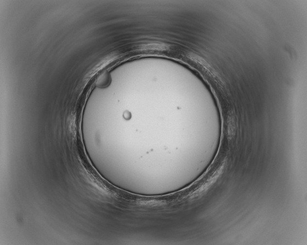 X0000111851113200908061308