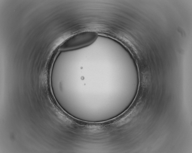 X0000111851114200908061308