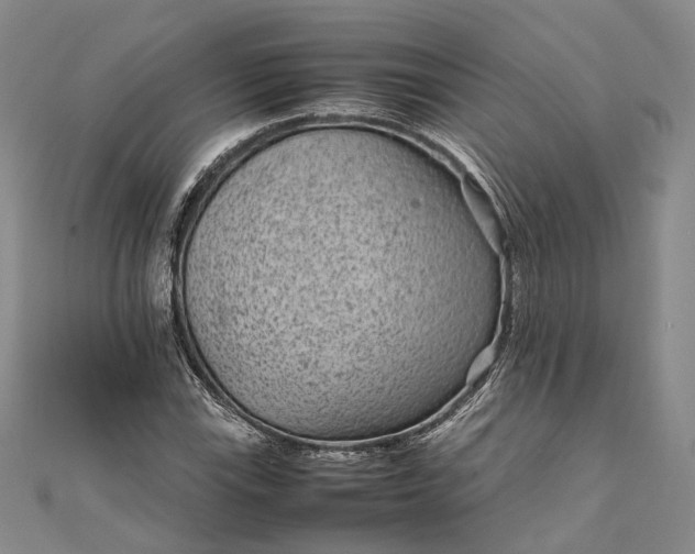 X0000111851115200908061308