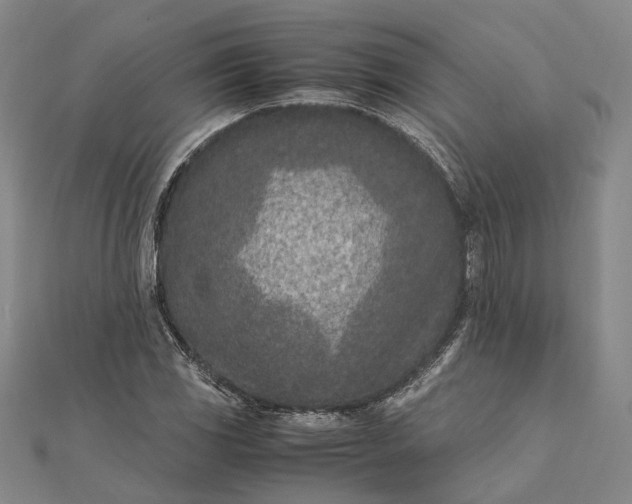 X0000111851117200908061308