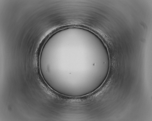 X0000111851118200908061308