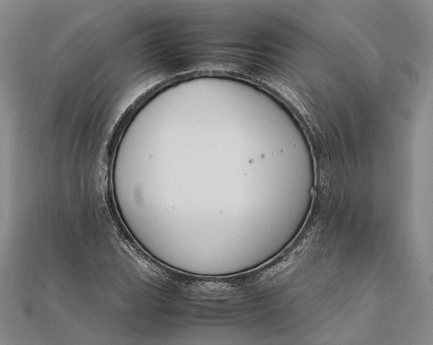 X0000111851119200908061308