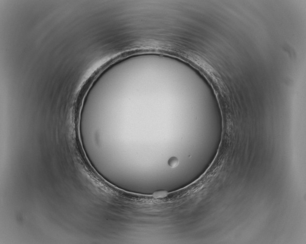 X0000111851120200908061308