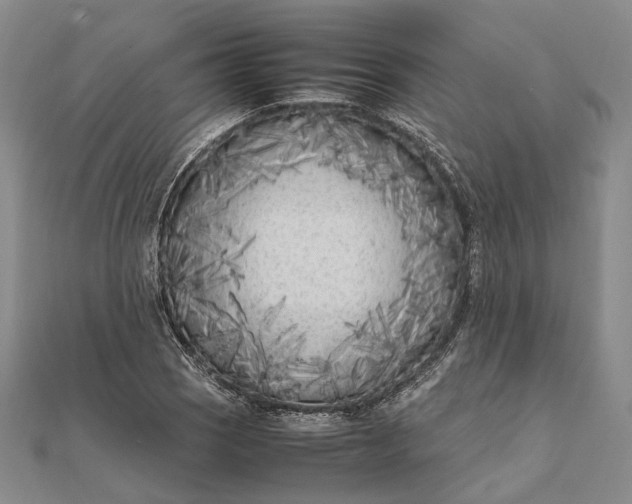 X0000111851121200908061308