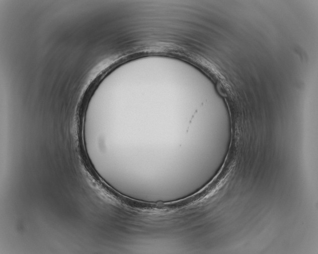 X0000111851122200908061309