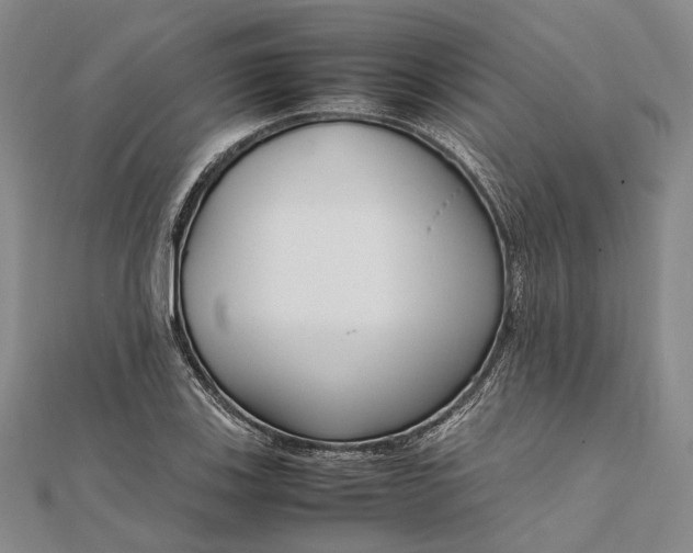 X0000111851123200908061309