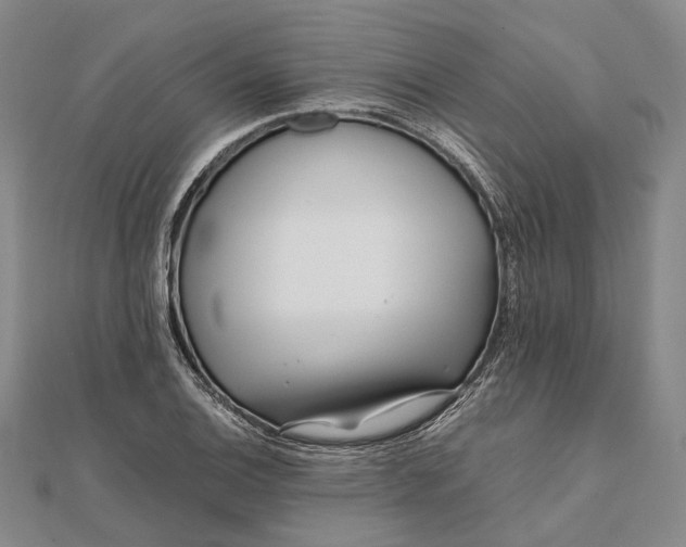 X0000111851124200908061309