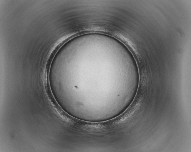 X0000111851125200908061309