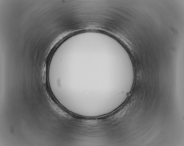 X0000111851126200908061309