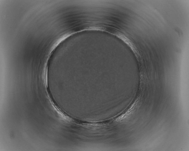 X0000111851127200908061309