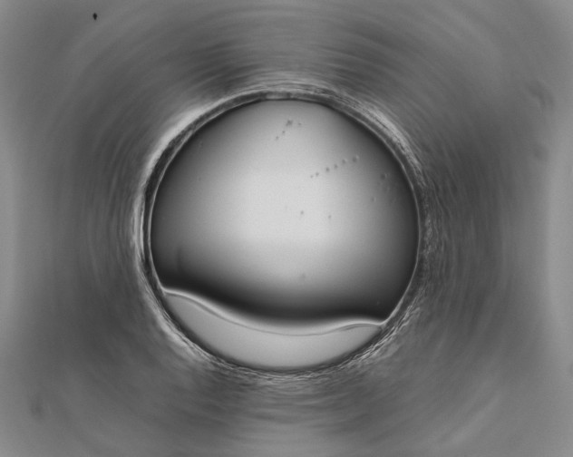 X0000111851128200908061309