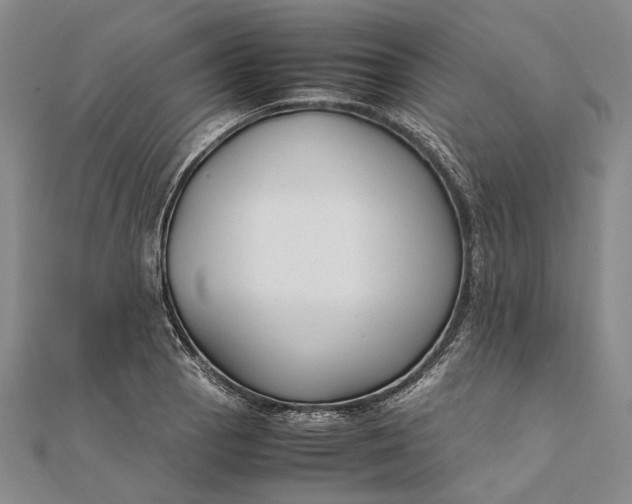 X0000111851129200908061309