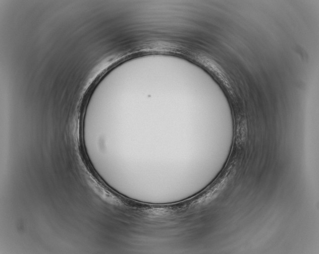 X0000111851130200908061309