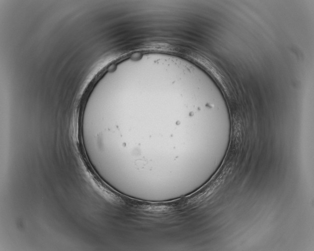 X0000111851131200908061309