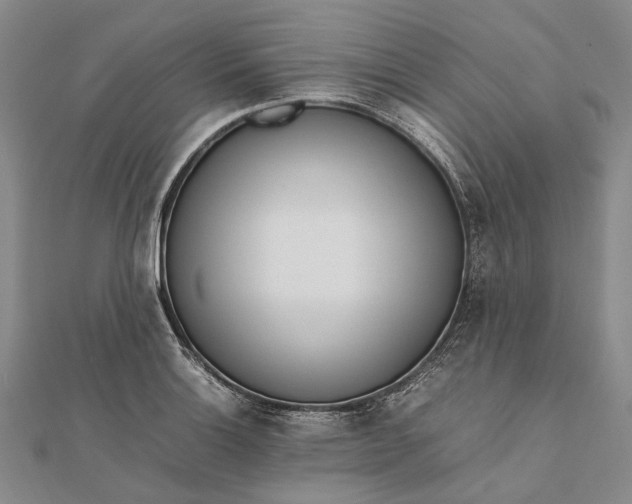 X0000111851132200908061309