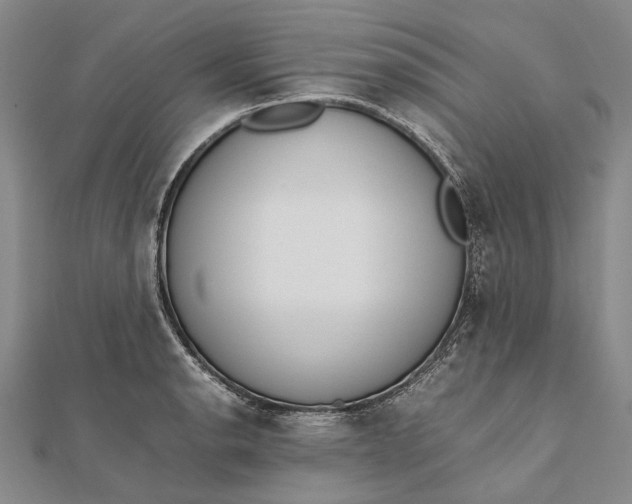 X0000111851134200908061309