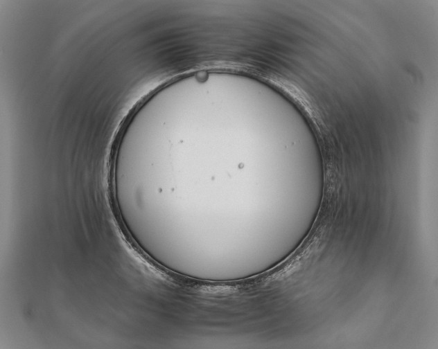 X0000111851135200908061309