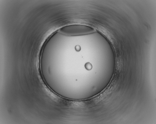 X0000111851136200908061309