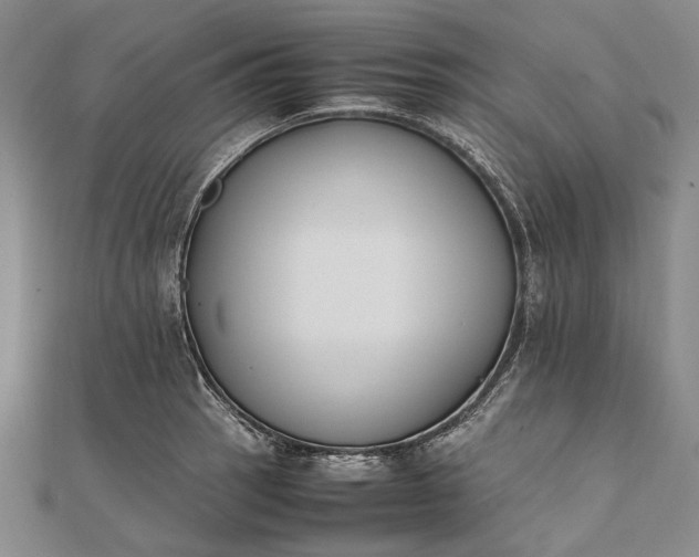 X0000111851137200908061309