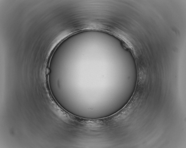 X0000111851138200908061309