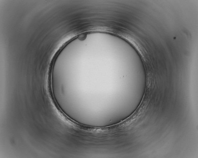 X0000111851139200908061309