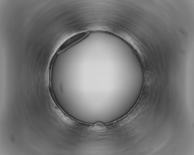 X0000111851140200908061309