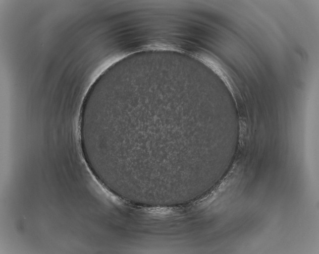 X0000111851141200908061309