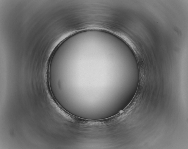 X0000111851142200908061309