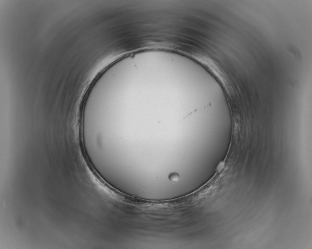 X0000111851143200908061309