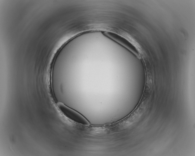 X0000111851144200908061309