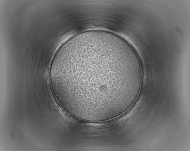 X0000111851145200908061309