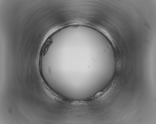 X0000111851146200908061309