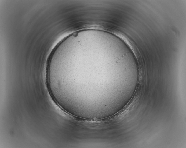 X0000111851147200908061309