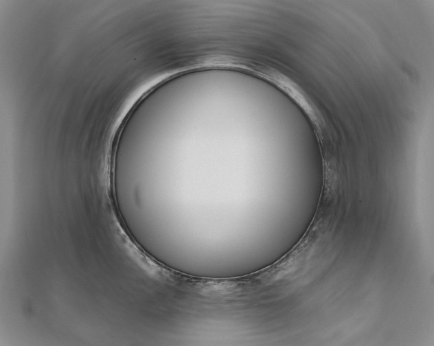 X0000111851148200908061309