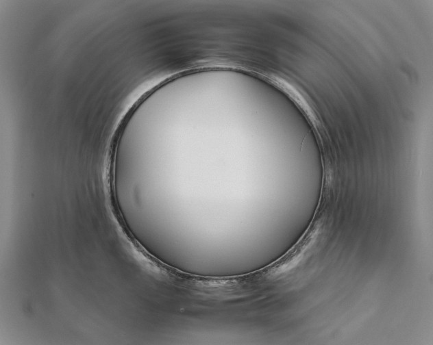 X0000111851149200908061309