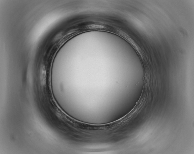 X0000111851151200908061309