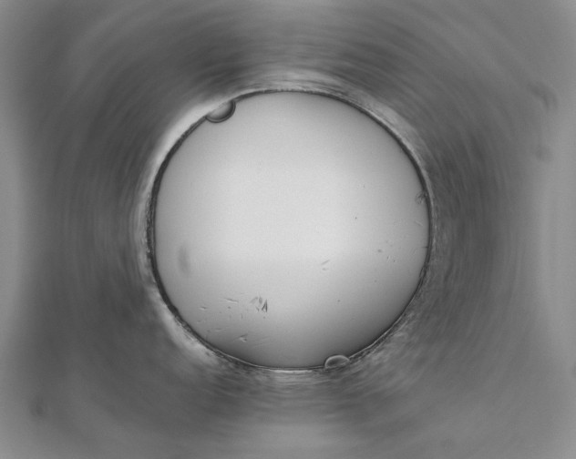 X0000111851152200908061309