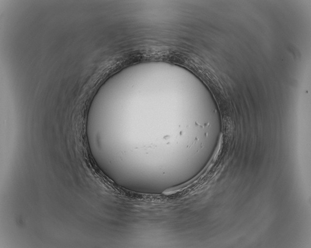 X0000111851153200908061308